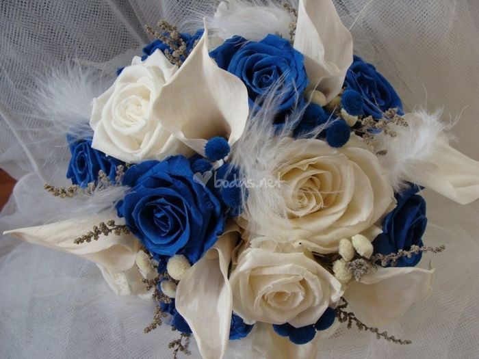 ramo azul