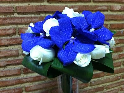 ramo azul