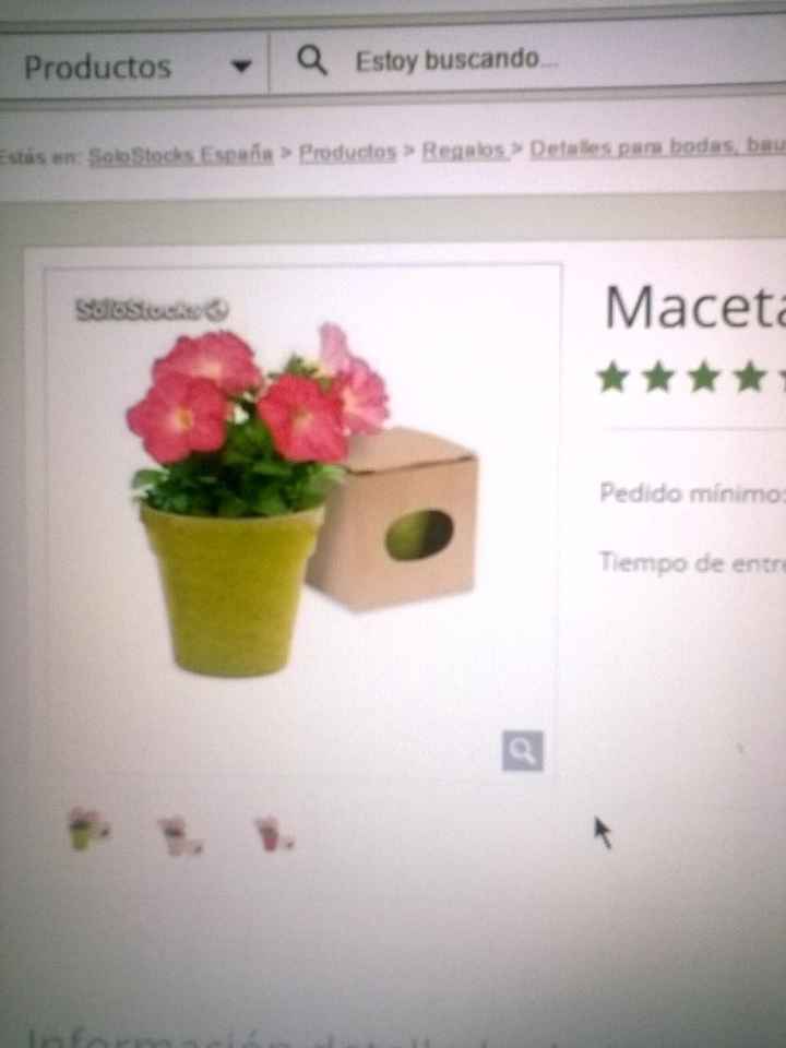 Plantas para regalar - 1