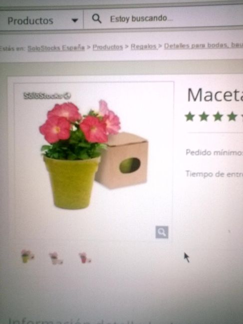 Plantas para regalar - 1