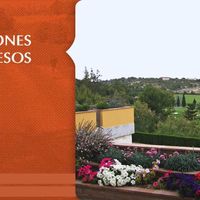 Vistas