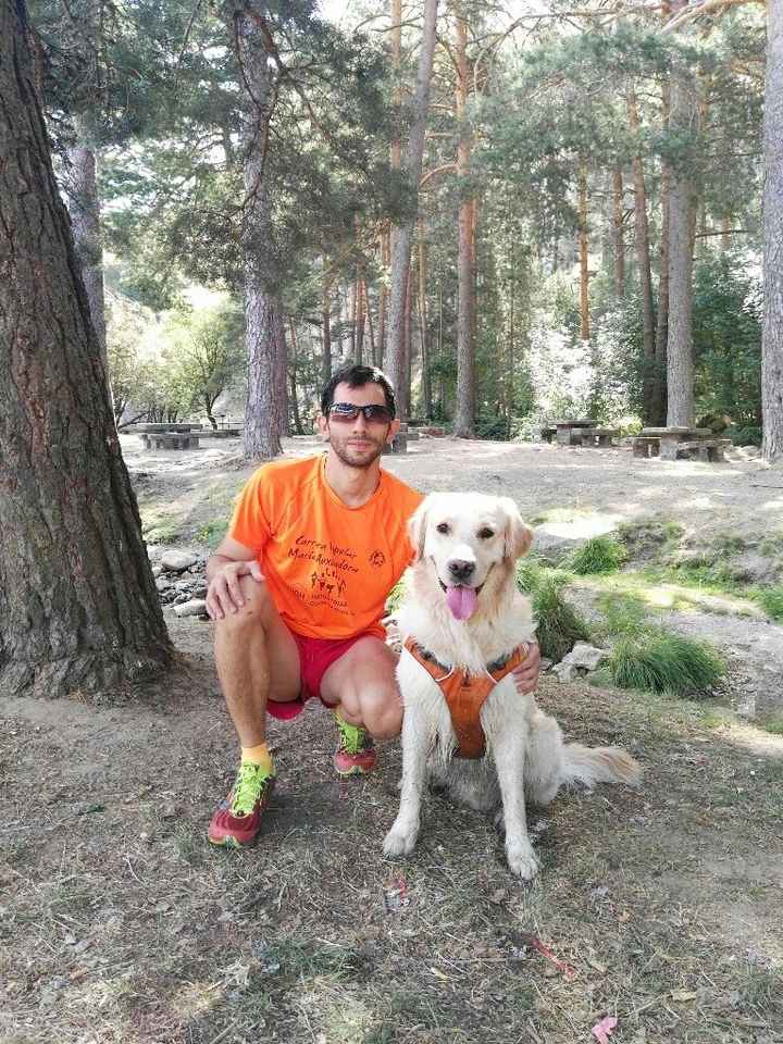 Preboda con nuestras mascotas??? - 1