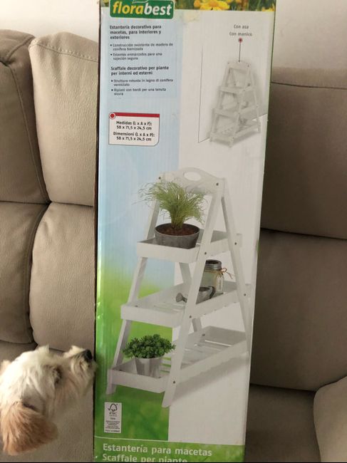 Ya tengo la estantería !!! - 1