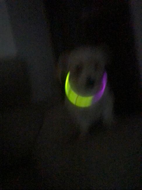 Pulseras luminosas - 1