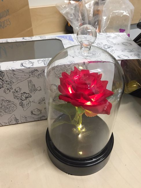 Cúpula-rosa bella y bestia Primark - 1
