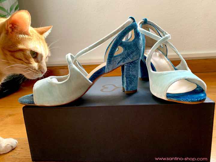 Zapatos Santino - 1