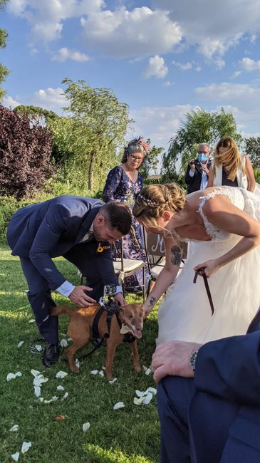 ¿Con cuántos ❤️ valoras el día de tu boda? 7