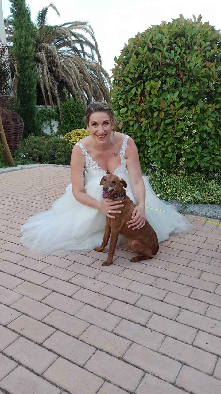 ¿Con cuántos ❤️ valoras el día de tu boda? - 6