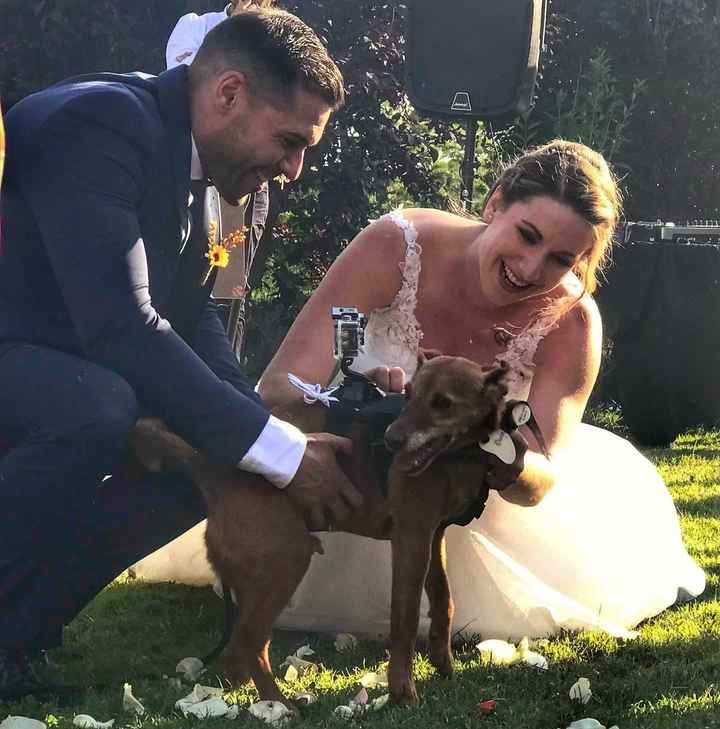 ¿Con cuántos ❤️ valoras el día de tu boda? - 10