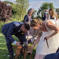 ¿Con cuántos ❤️ valoras el día de tu boda? - 2