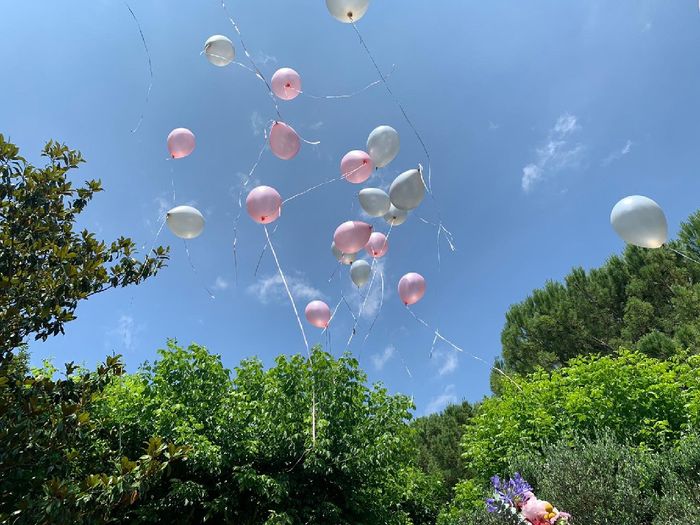 Novios que nos casamos el 20 de Junio de 2020 en Barcelona - 2