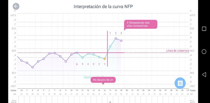 Buscadoras con sop (nuevo) - 1