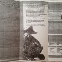 Futuras mamas febrero 2017 - 1