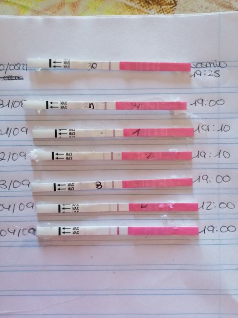 Test de ovulación 2