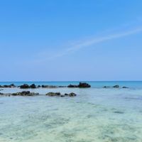 Felizmente casados - 2