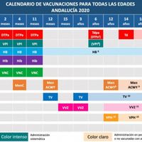 Futuras mamás agosto 2019 - 1