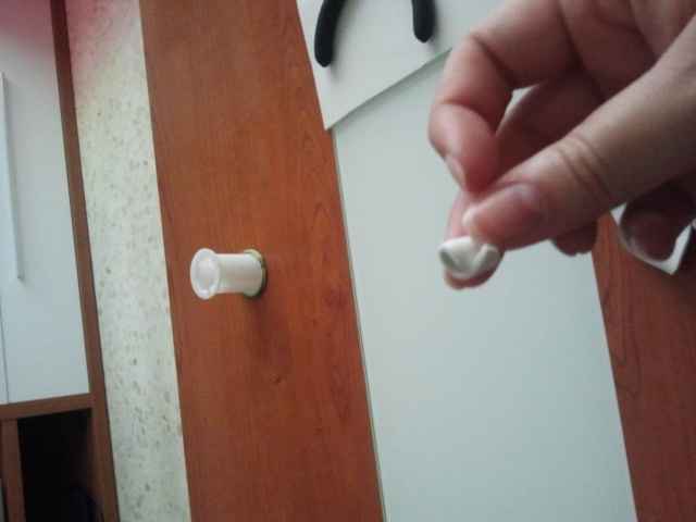 pistilo