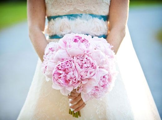 peonias rosas