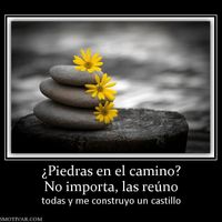 Mucho ánimo chicas, lo conseguiremos ;)