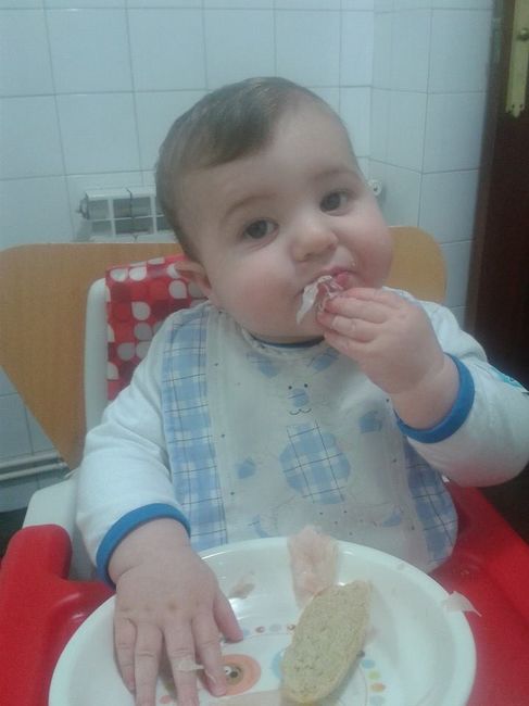 baby led weaning