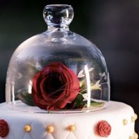 Urban rosa (bella y bestia ) - 3