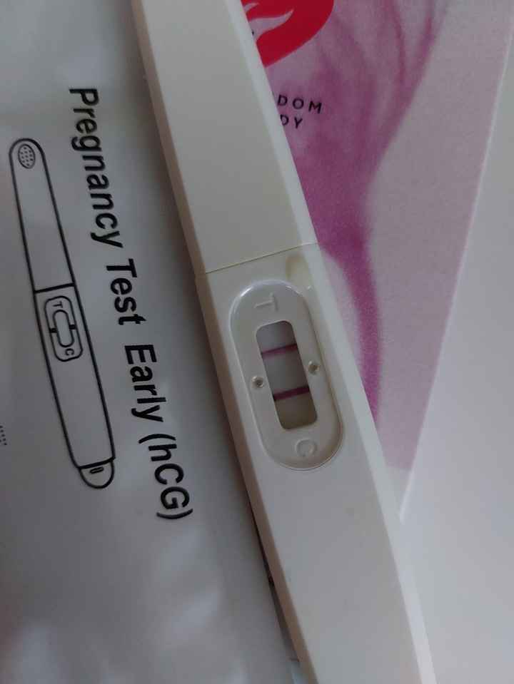 ❄️☃️ Buscadoras Enero 2026 ☃️❄️ - 1