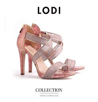 zapato lodi salvia
