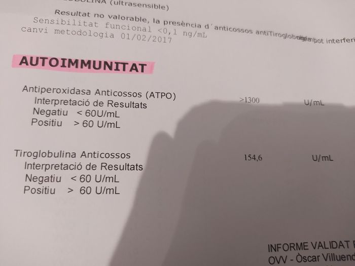 ☘️ Buscadoras Junio 2021 ☘️ 3