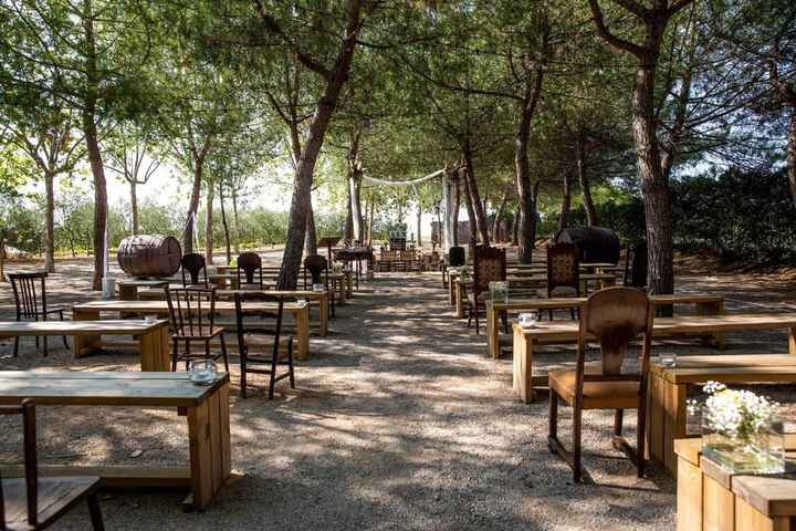 Ideas para una boda en el bosque 🌲🌲🌲 - 1