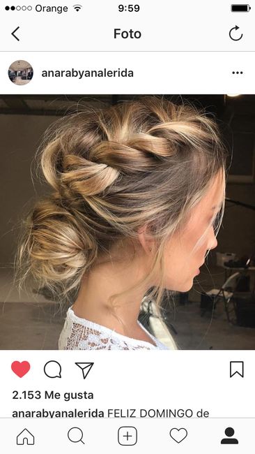recogido trenza