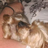 Esther