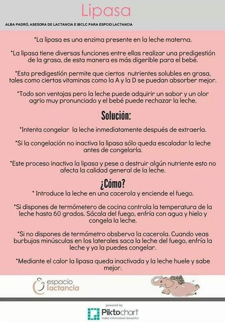 Apoyo a la lactancia materna 1