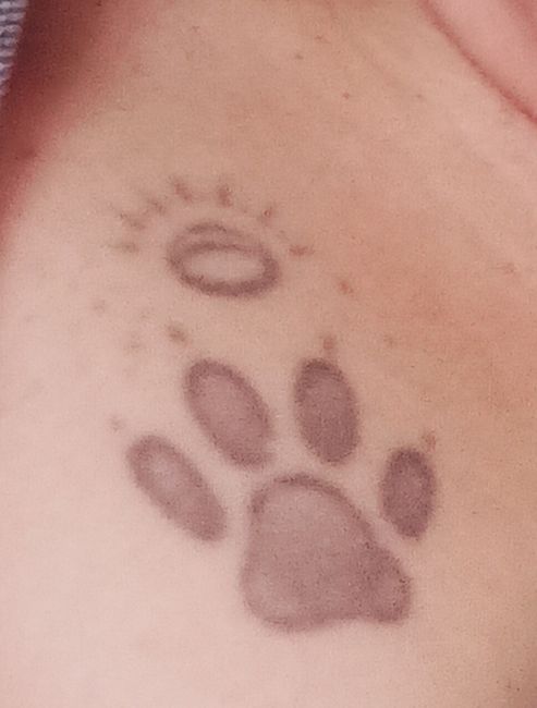 Confiesa: ¿te harías un tatuaje en honor a tus peluditos? 🐶 5