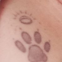 Confiesa: ¿te harías un tatuaje en honor a tus peluditos? 🐶 - 1