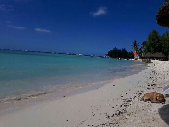 Alguien va a isla Mauricio el 8/7? - 8
