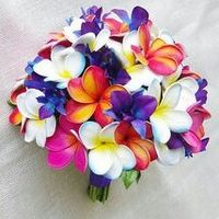 Bouquets de plumeria o frangipani - 3