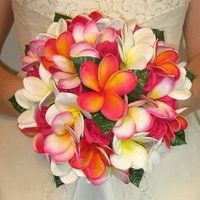 Bouquets de plumeria o frangipani - 4