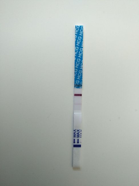 Test 24