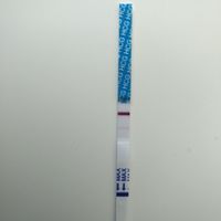 Test 24