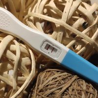 Buscadoras Enero 2023 - 1