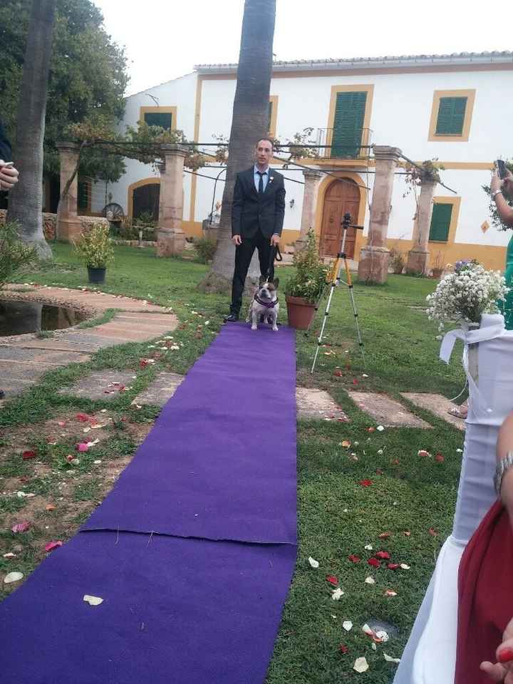 Mi gran boda - 8