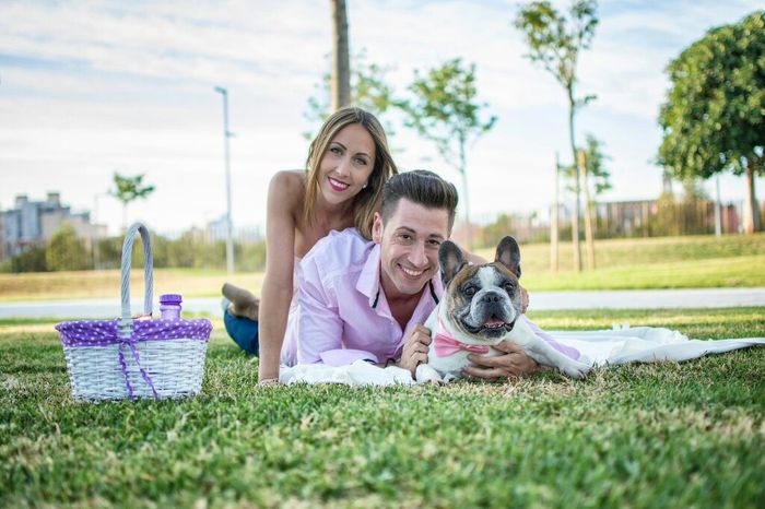 No sin perros!!! - 1
