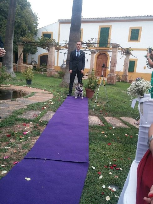 Mi gran boda - 8