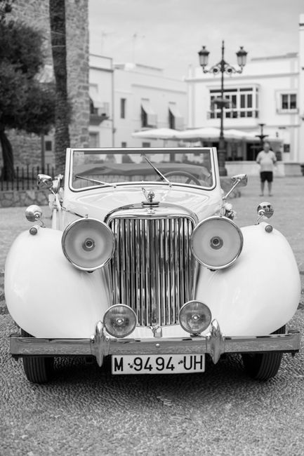Jaguar clásico 
