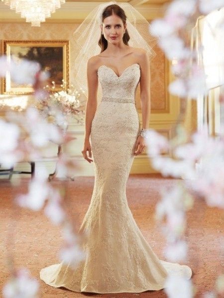 Sophia Tolli