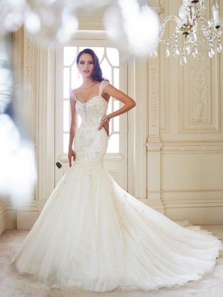 Sophia Tolli