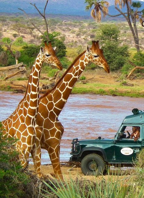 África