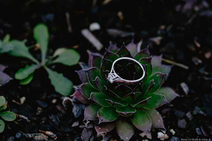 Anillo pedida