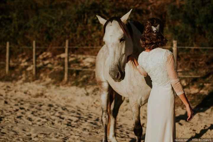 3. Caballo blanco a conjunto con su jinete