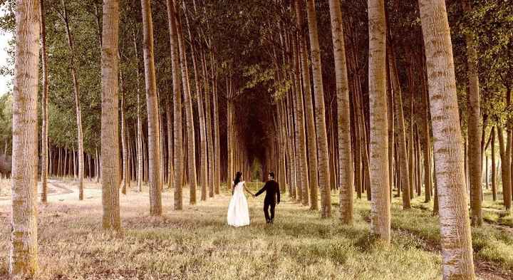 Novias León 2016